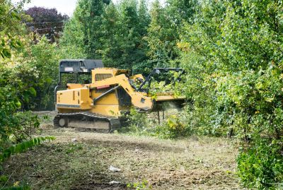 Easement Land Clearing