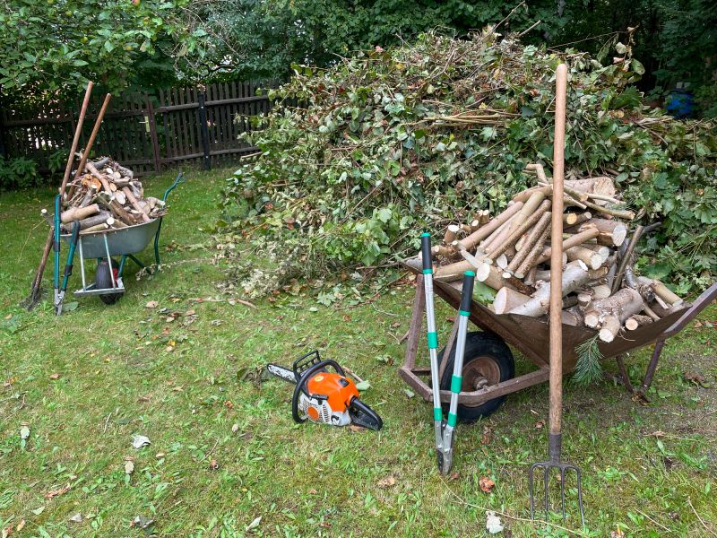 Debris Removal on Site