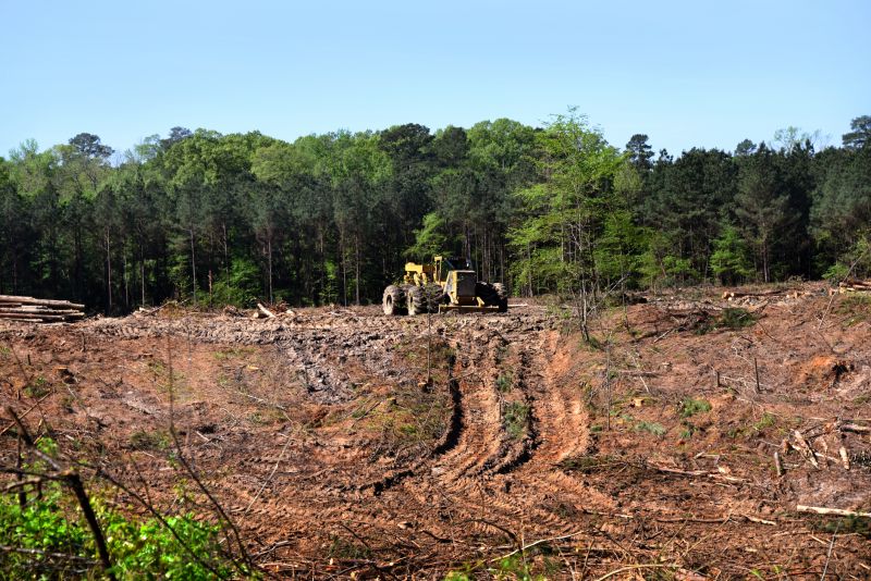 Land Clearing for Development