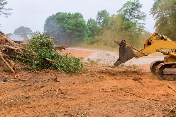 Ground Clearing in Broomfield