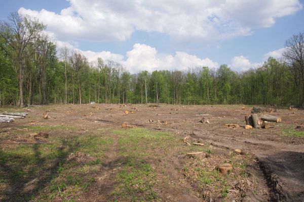 Cost of Pasture Clearing in Broomfield