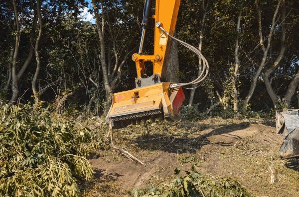 Brush Removal Service in Broomfield