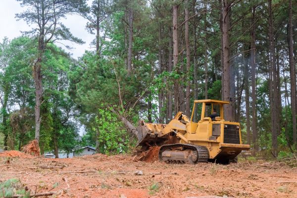 Cost of Property Clearing in Broomfield