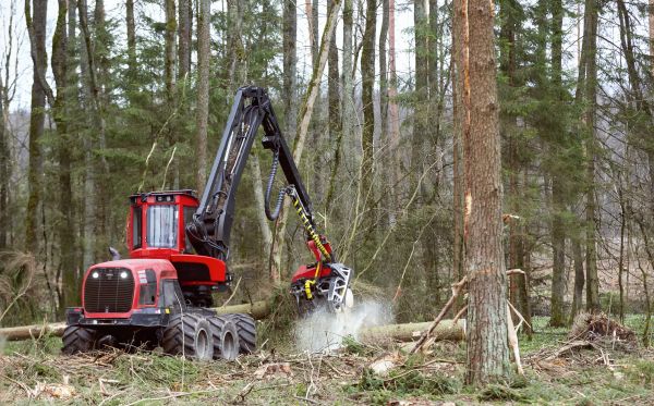 Cost of Forest Clearance Service in Broomfield