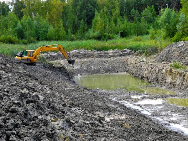 Cost of Lake Lot Clearing in Broomfield