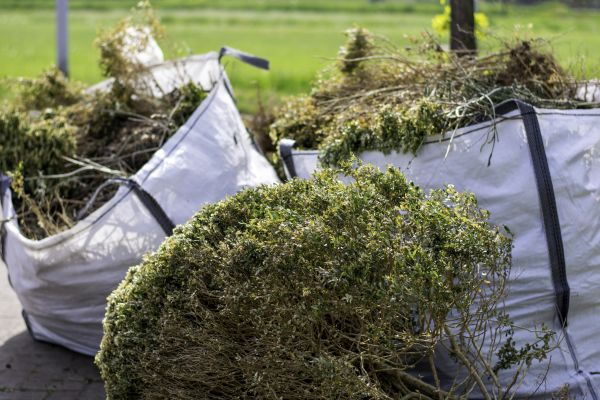 Cost of Bushes Clearing in Broomfield