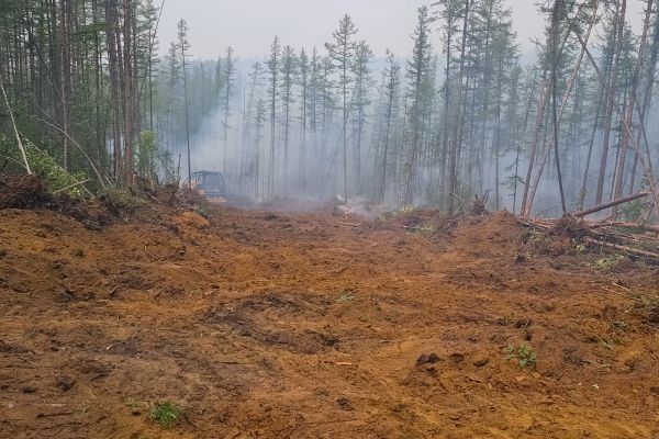 Cost of Hill Clearing in Broomfield