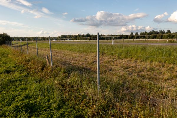 Cost of Property Line Clearing in Broomfield