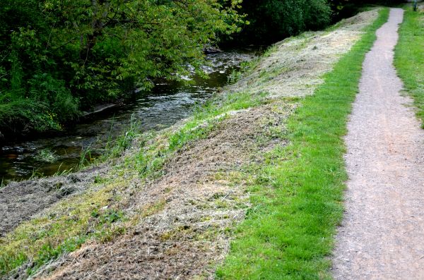 Cost of Trail Cutting in Broomfield